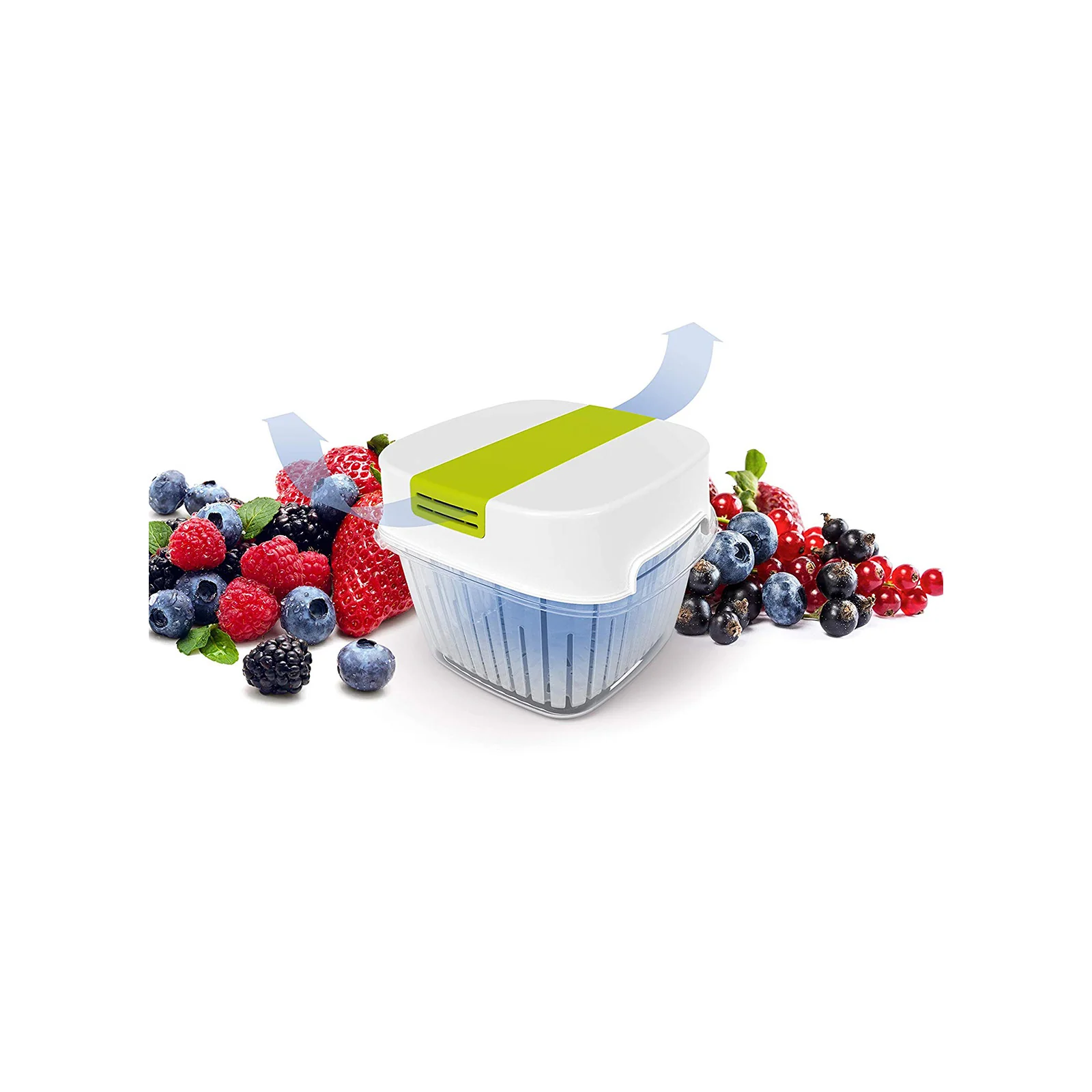 Pojemnik Dynamic 1,6 L 
FRESH - Image 11