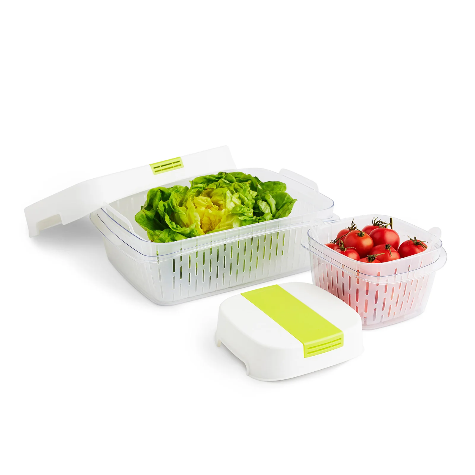 Pojemnik Dynamic 1,6 L 
FRESH - Image 9